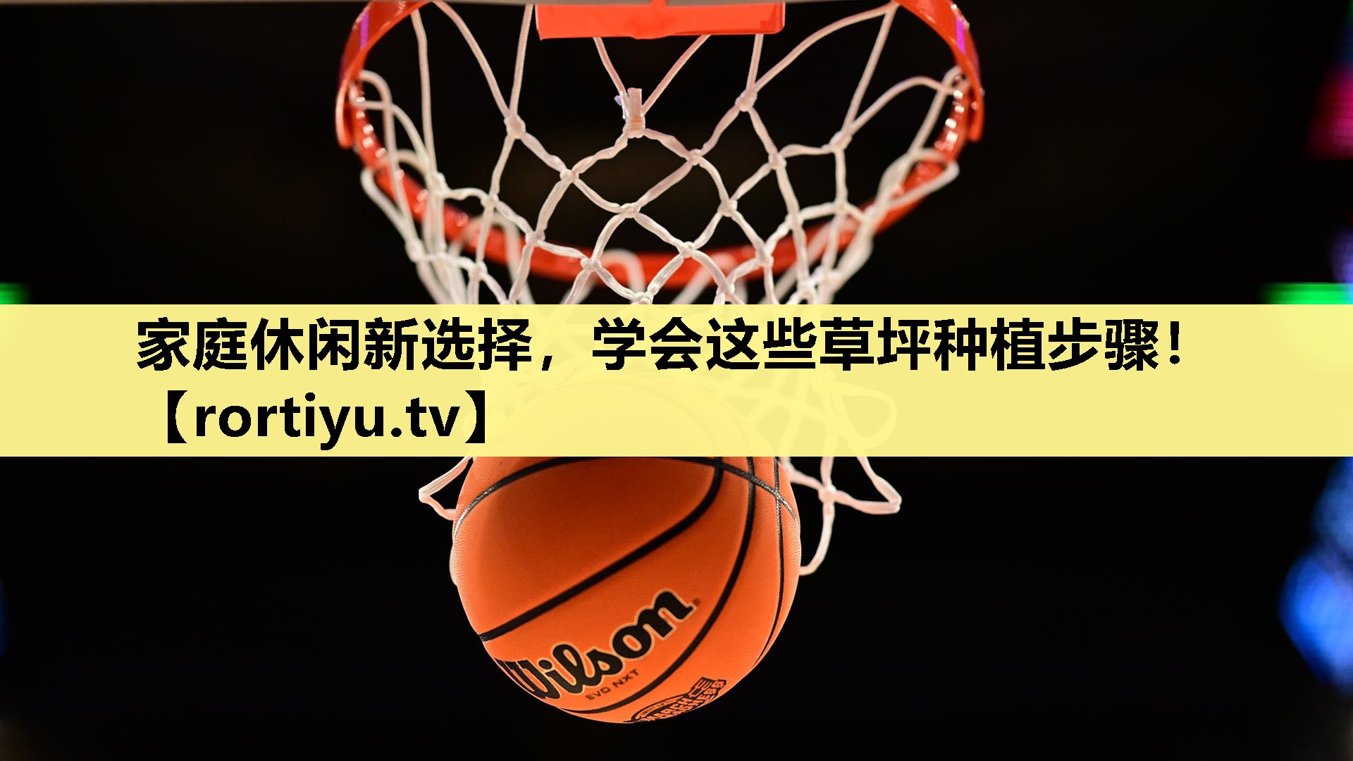 家庭休闲新选择，学会这些草坪种植步骤！