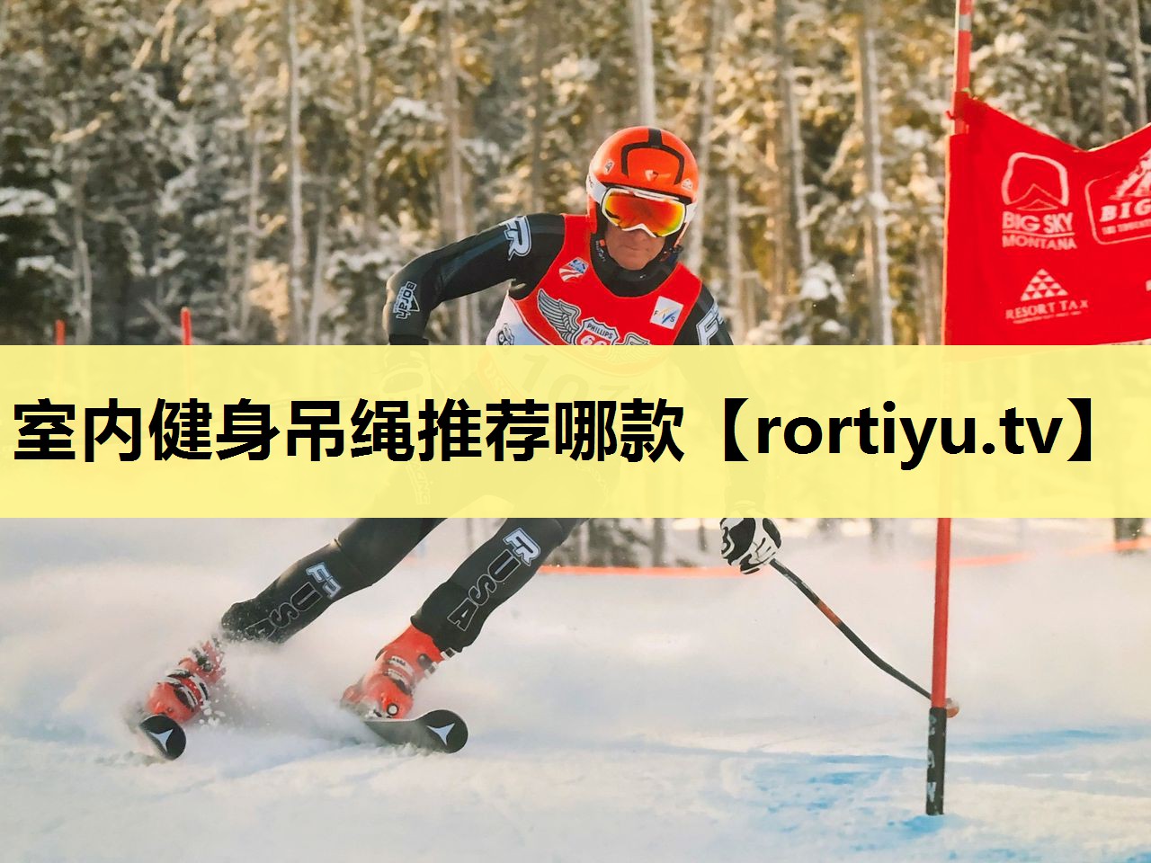 室内健身吊绳推荐哪款