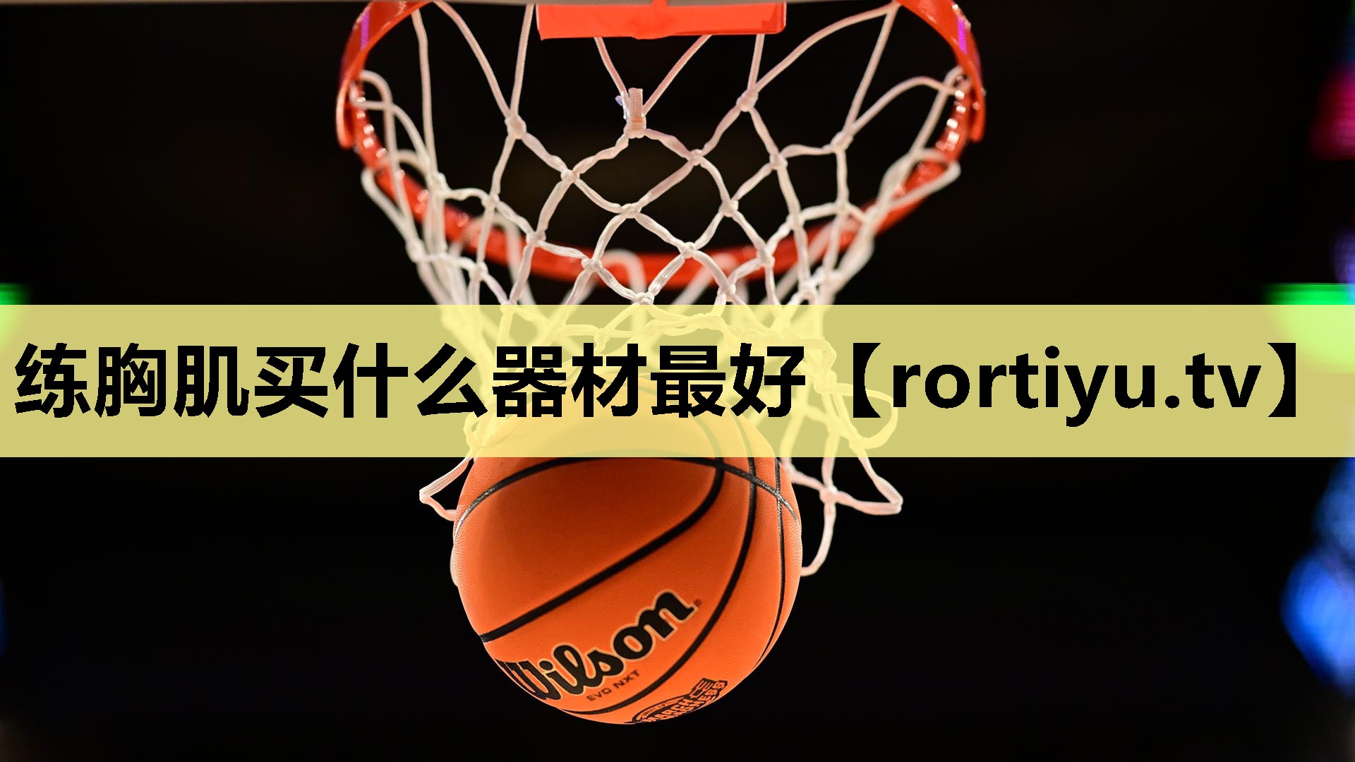 练胸肌买什么器材最好
