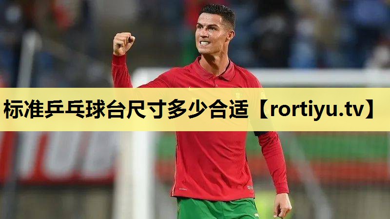 标准乒乓球台尺寸多少合适