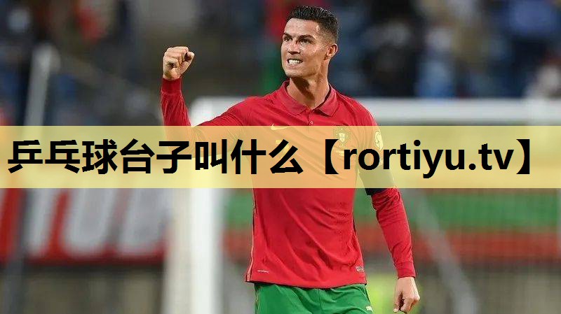 乒乓球台子叫什么