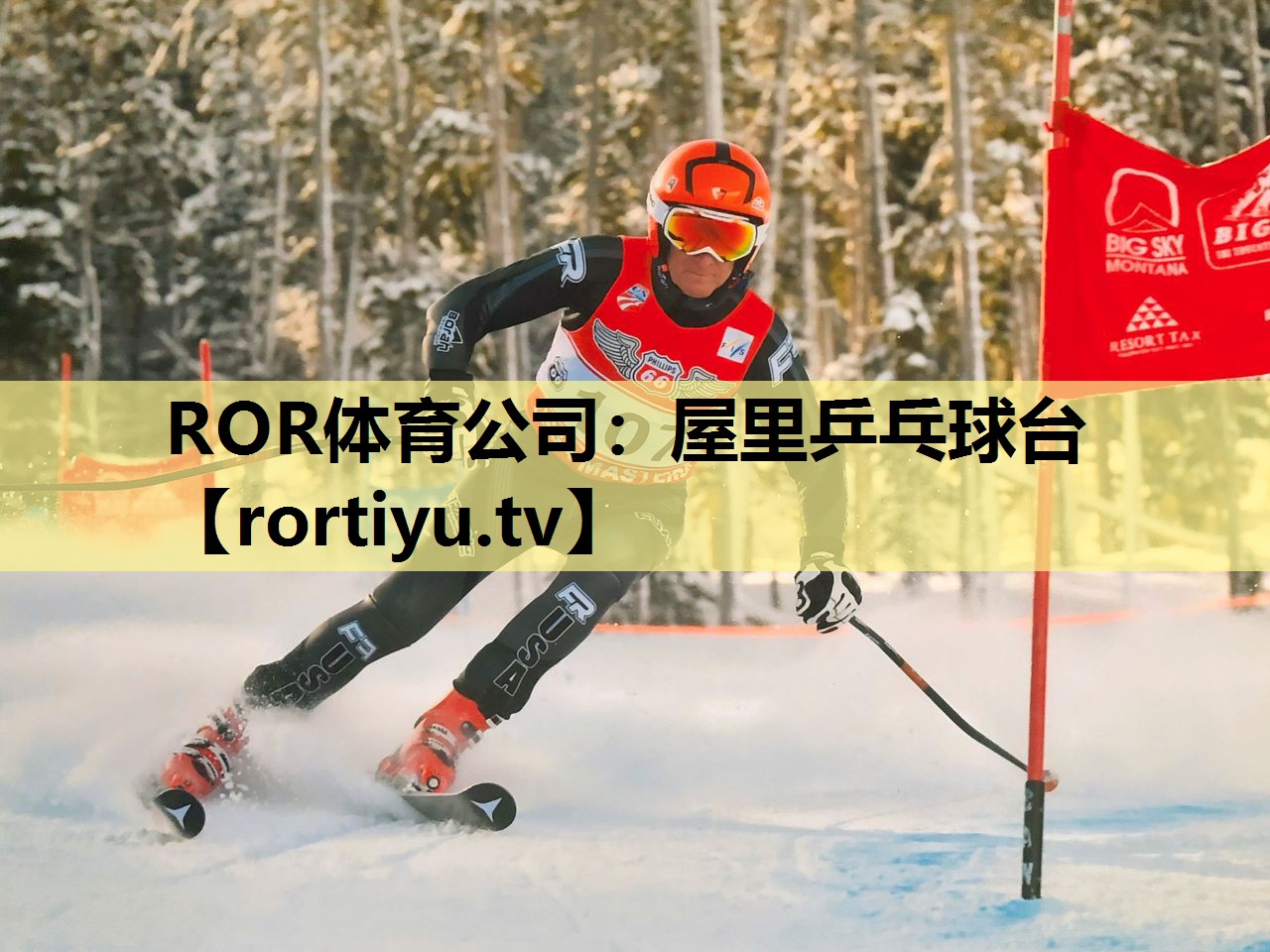 屋里乒乓球台